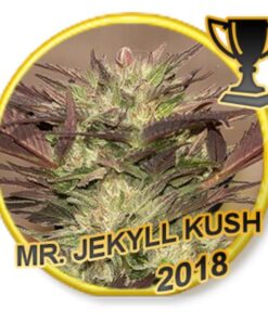 Mr. Jekyll Kush Fem. — Mr Hide