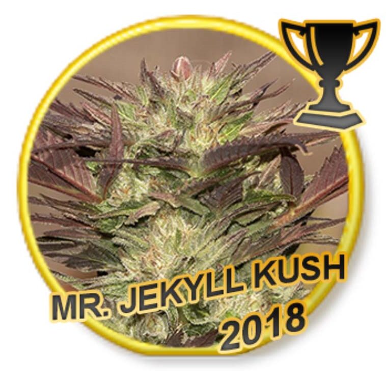 Mr. Jekyll Kush Fem. — Mr Hide Mr. Jekyll Kush Fem. — Mr Hide