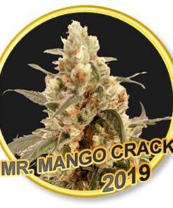 Mr. Mango Crack Fem. — Mr Hide