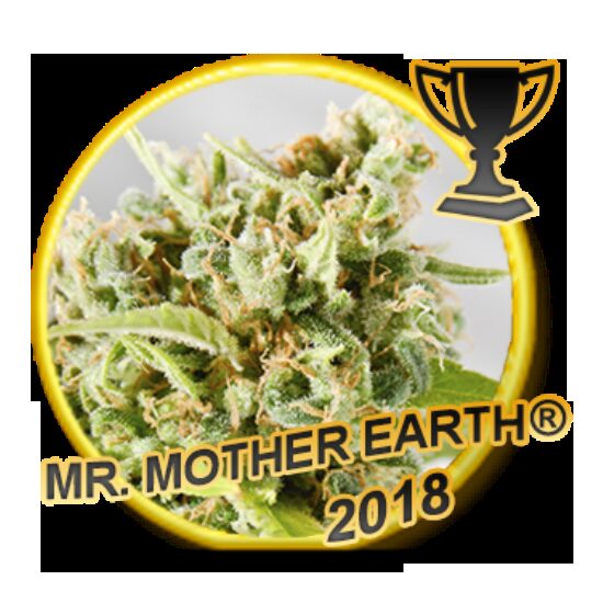 Mr. Mother Earth Fem. — Mr Hide