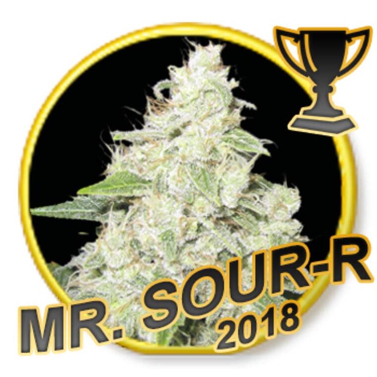 Mr. Sour-R Fem. — Mr Hide