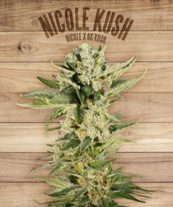 Nicole Kush — The Plant
