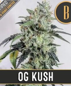 OG Kush Fem — Blimburn Seeds