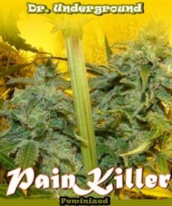Painkiller Fem. — Dr Underground