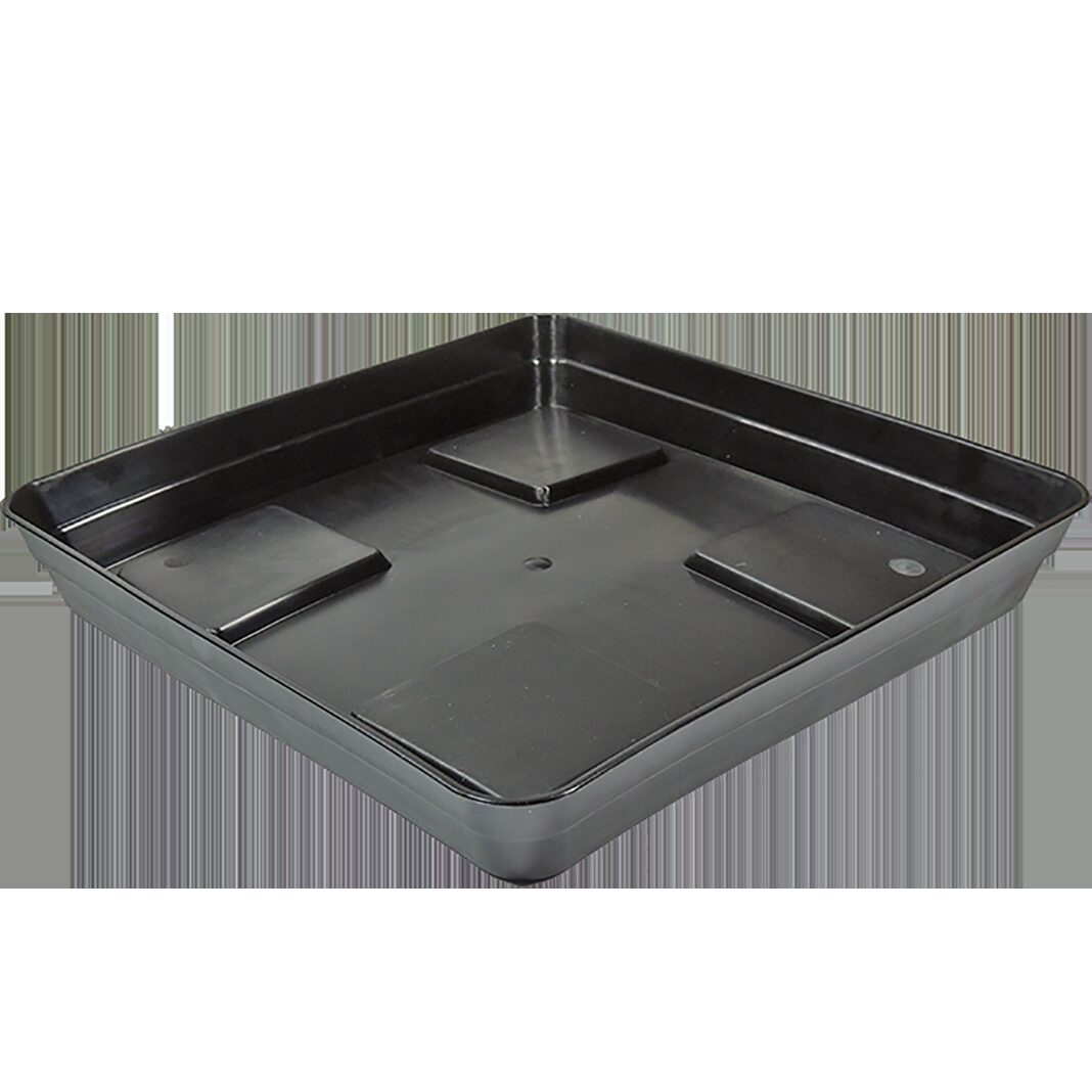 Plato Cuadrado Eco Negro con Soporte