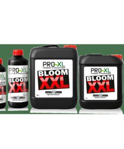 PRO-XL Bloom XXL — Pro-XL