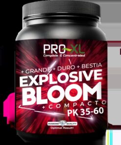 PRO-XL Explosive Bloom — Pro-XL