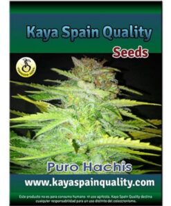 Puro Hachis Fem. — Kaya Spain Quality