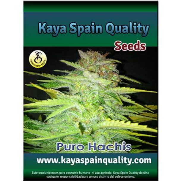Puro Hachis Fem. — Kaya Spain Quality