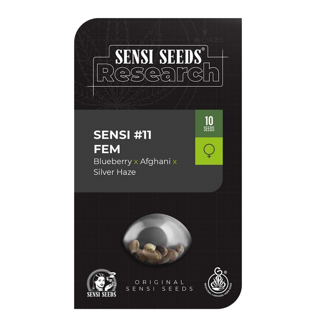 Research Sensi #11 Fem — Sensi Seeds