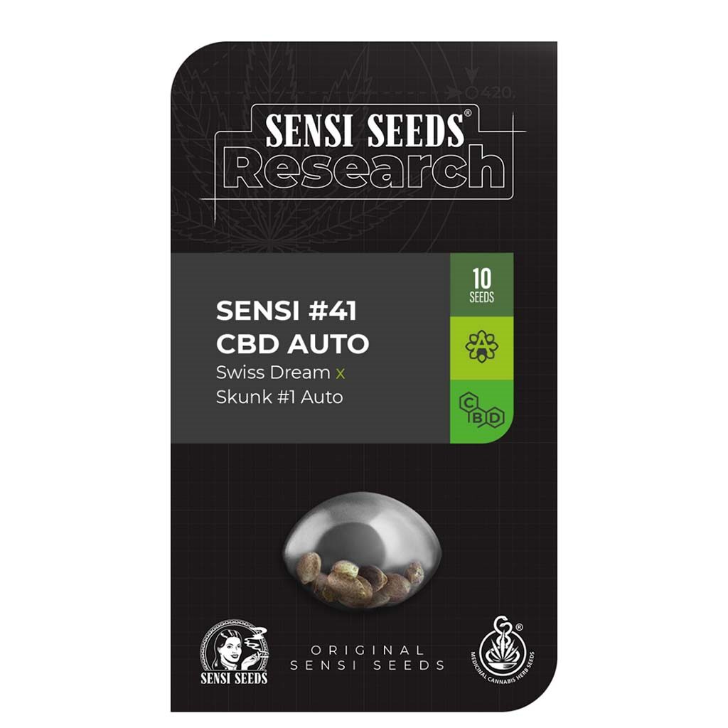 research Sensi #41 CBD Auto — Sensi Seeds