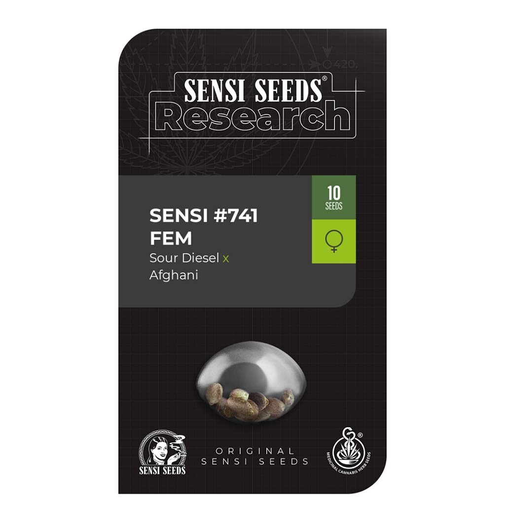 Research Sensi #741 fem — Sensi Seeds