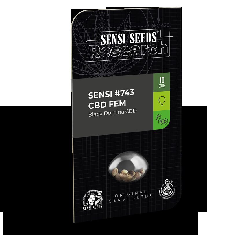 Research Sensi #743 CBD Fem — Sensi Seeds