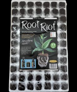 Root Riot Bandeja 77 Alveolos — Growth Technology