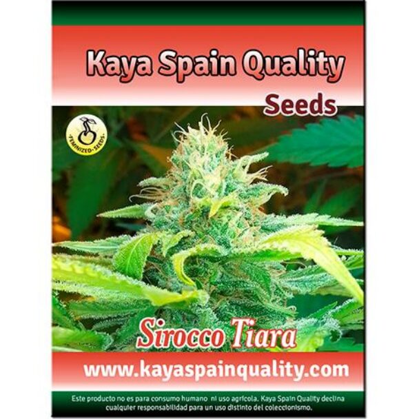 Sirocco Tiara Fem. — Kaya Spain Quality