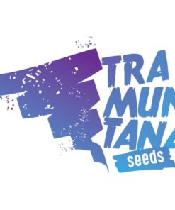 Sour Apple IBL x Larry OG Fem — Tramuntana Seeds