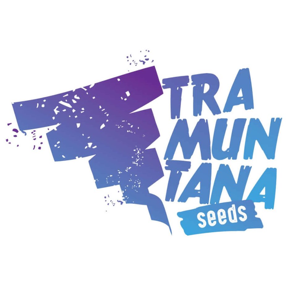 Sour Apple IBL x Larry OG Fem — Tramuntana Seeds