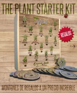 Starter Kits — The Plant