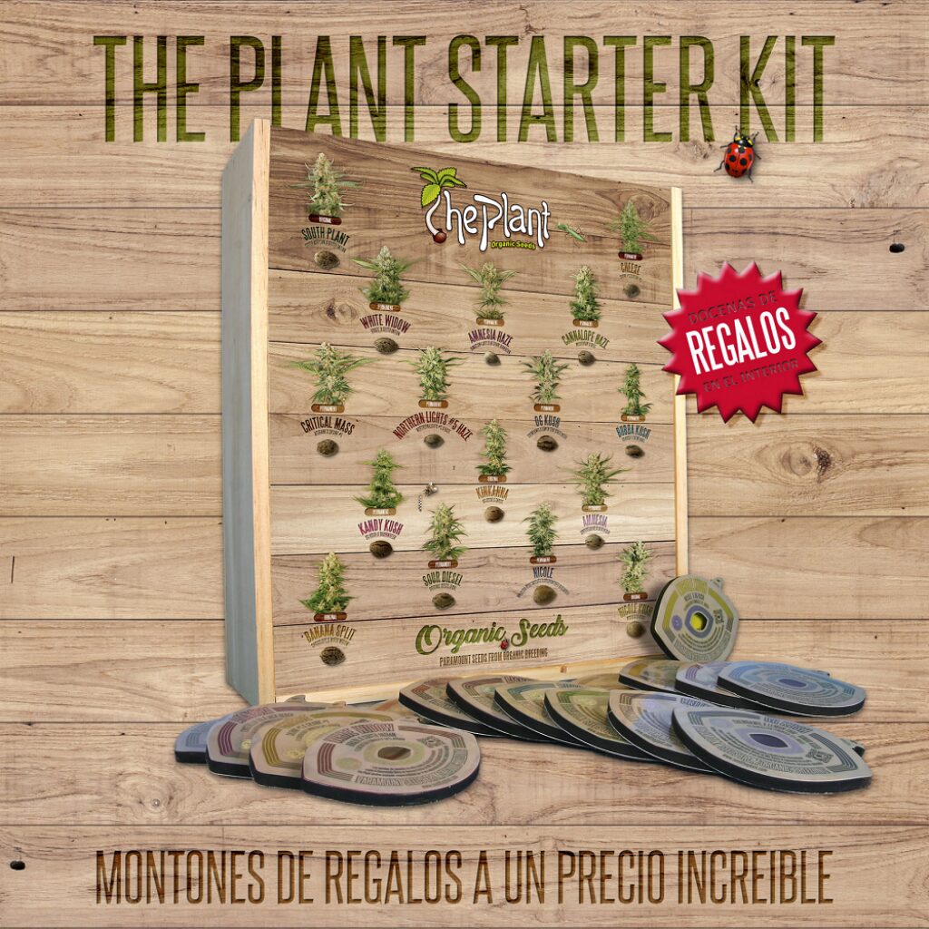Starter Kits — The Plant