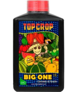 Top Crop Big One — Top Crop