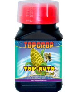 Top Crop Top Auto — Top Crop