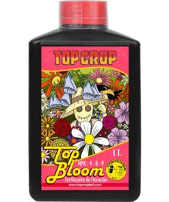 Top Crop Top Bloom — Top Crop