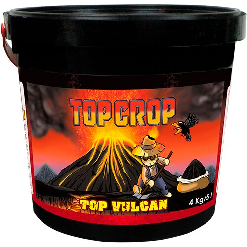 Top Crop Top Vulcan (Harina de Lava) — Top Crop