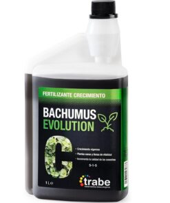 Trabe Bachumus Evolution Crecimiento (1L - 20L) — Trabe