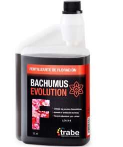 Trabe Bachumus Evolution Floración (1L - 20L) — Trabe