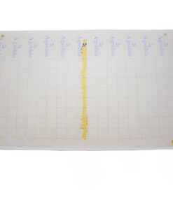 Trampa Adhesiva Amarilla 40x25cm Folio (10Und)