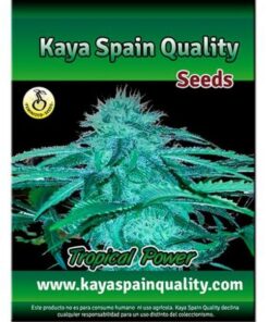 Tropical Power Fem. — Kaya Spain Quality