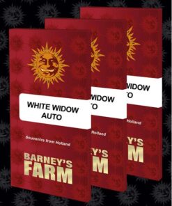 White Widow Auto — Barney's Farm