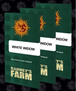 White Widow Fem — Barney's Farm